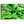 Load image into Gallery viewer, Rainbow/white/Green Silverbeet Chem Free Bunch