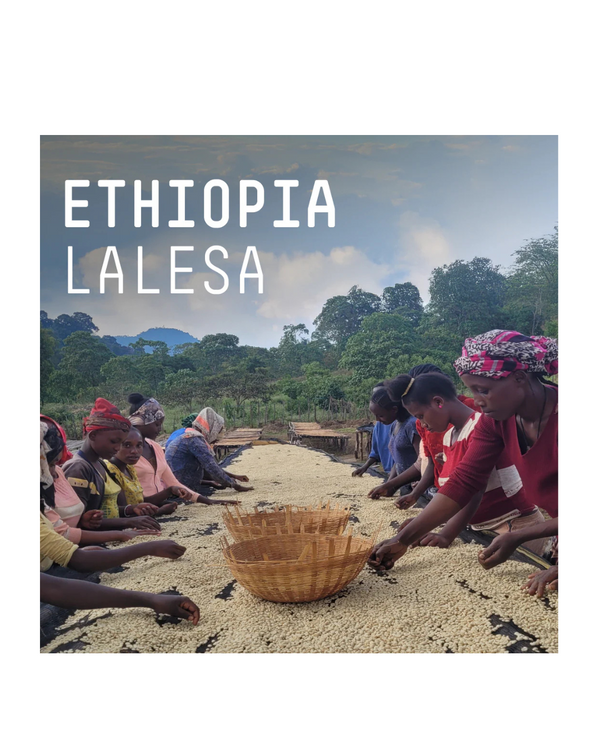 Ethiopia, Lalesa Single Origin Espresso