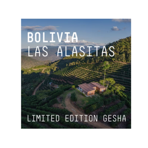 Limited Edition Gesha Bolivia Las Alasitas 100g