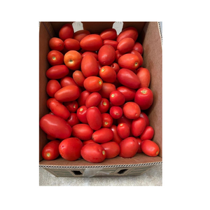 Roma Tomato Chem Free