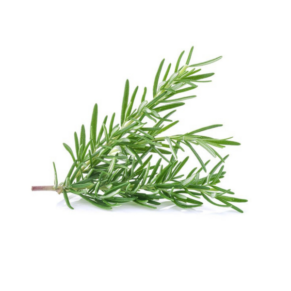 Rosemary Chem Free 1 Bag