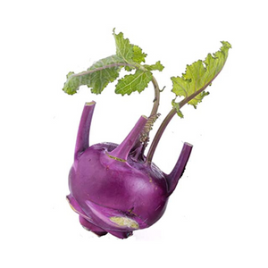 大頭菜 紫色（球莖甘藍) Purple Kohlarbi bulb
