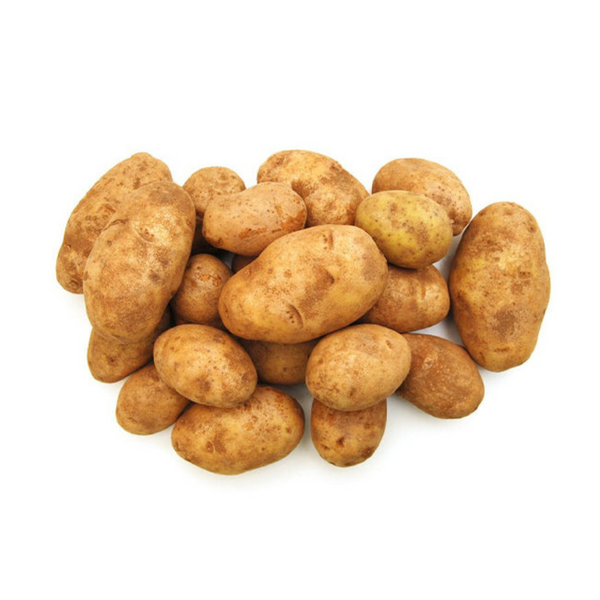 Dirty/washed Sebago Potato Chem Free 1kg