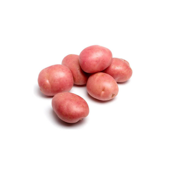 Dirty Sebago/Pink/ White washed Potato Chem Free 1kg