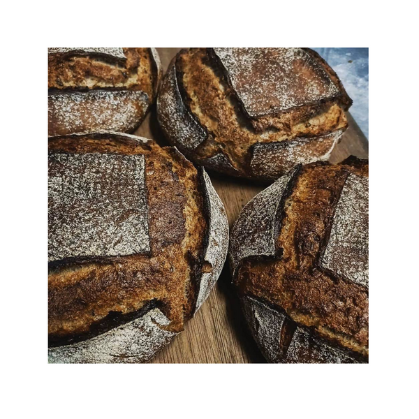 天然酵種 黑麥麵包 Light Rye Sourdough