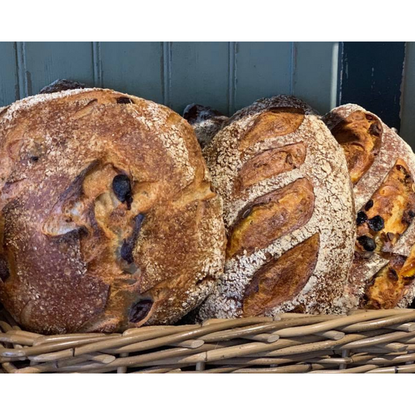 天然酵種 南瓜籽麵包 Pumpkin (seed) Bread/olive